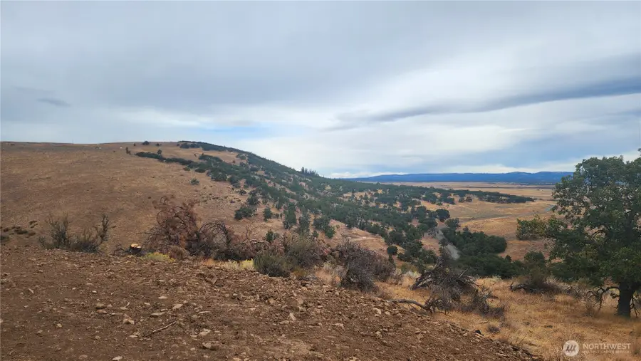 295 Oak Flatt Rd, Goldendale, WA 98620 - Image #3