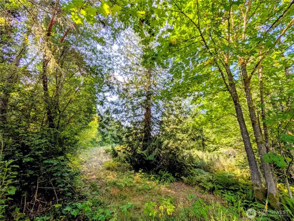 0 D Street Nw, Lakebay, WA 98349