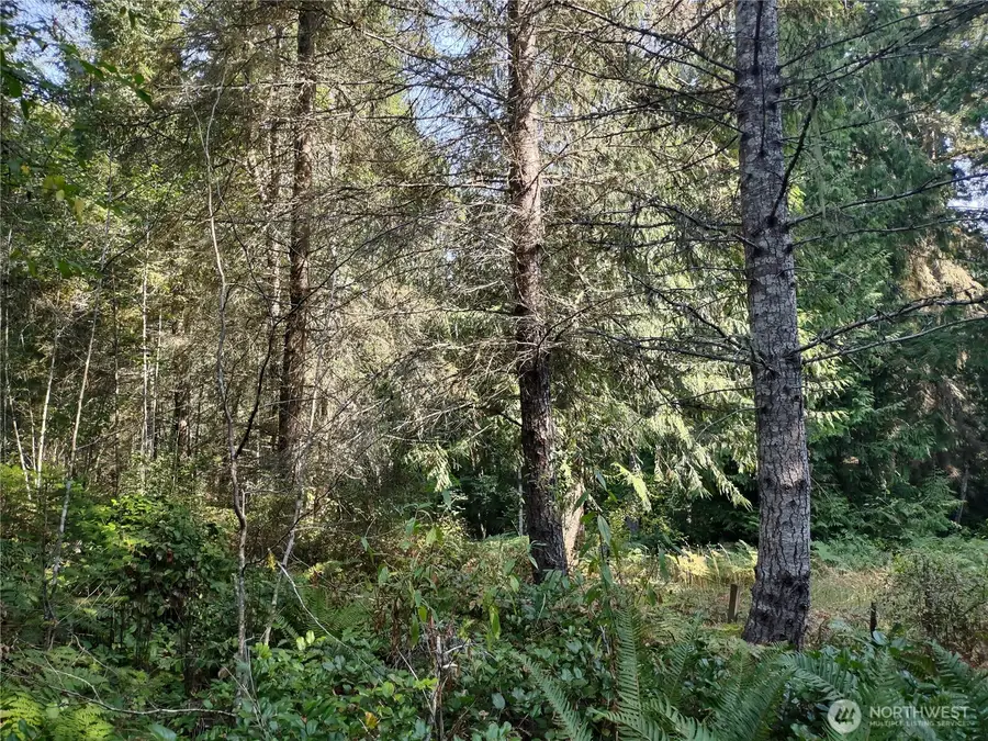 0 Blue Valley Road, Port Angeles, WA 98362 - Image #2