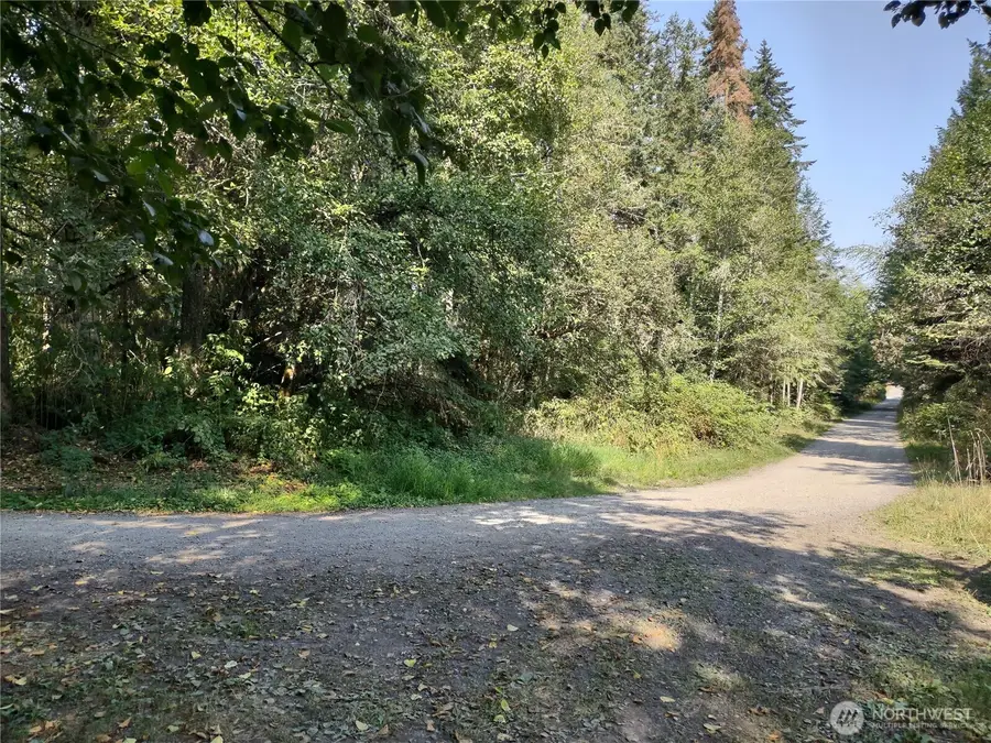 0 Blue Valley Road, Port Angeles, WA 98362 - Image #3