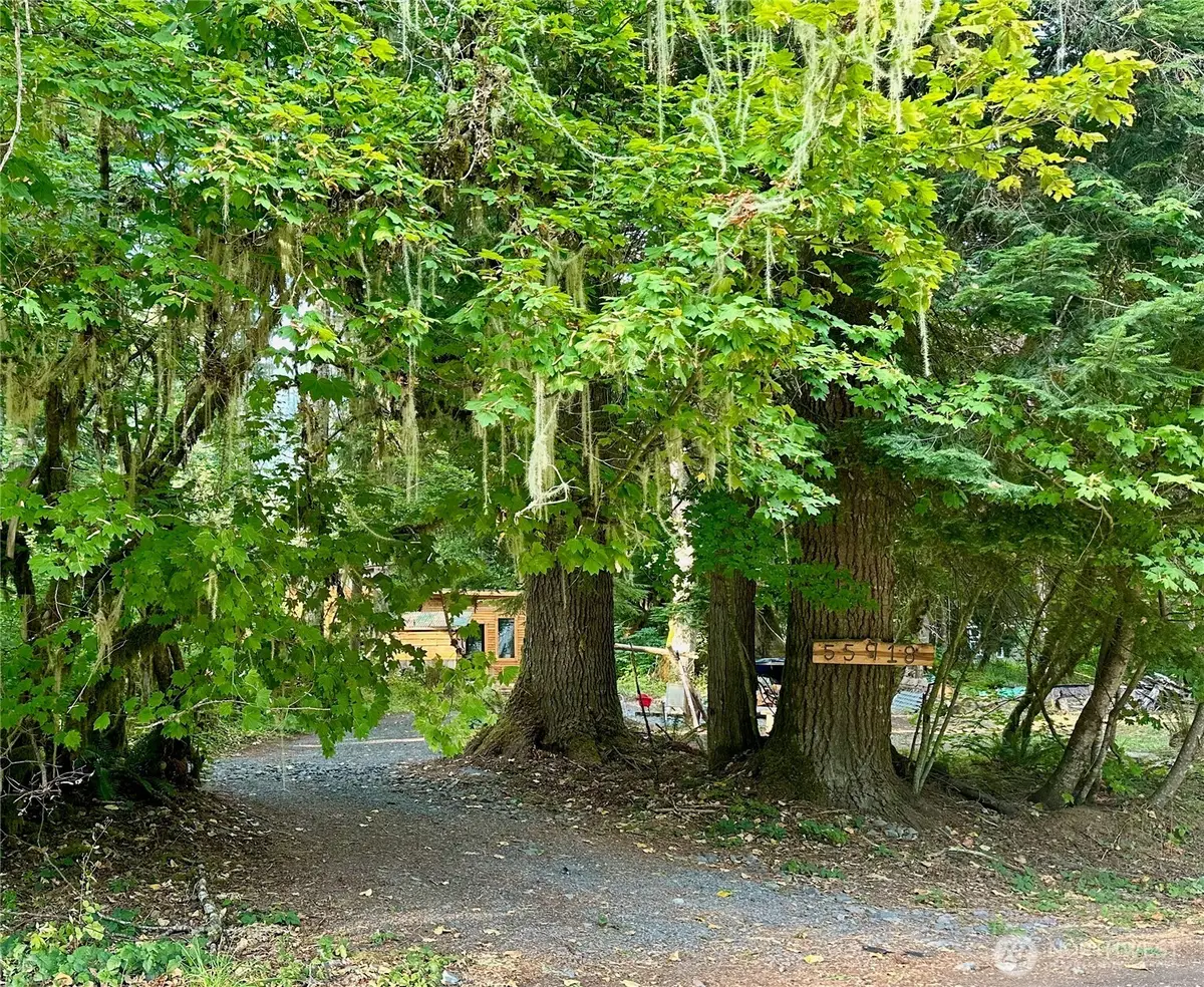 55918 317th Avenue E, Ashford, WA 98304 - Image #1