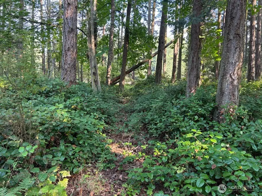 135 Chinook Way #135, Lopez, WA 98221 - Image #2