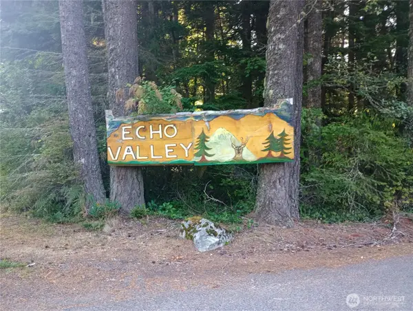 31401 556th Street Court E, Ashford, WA 98304