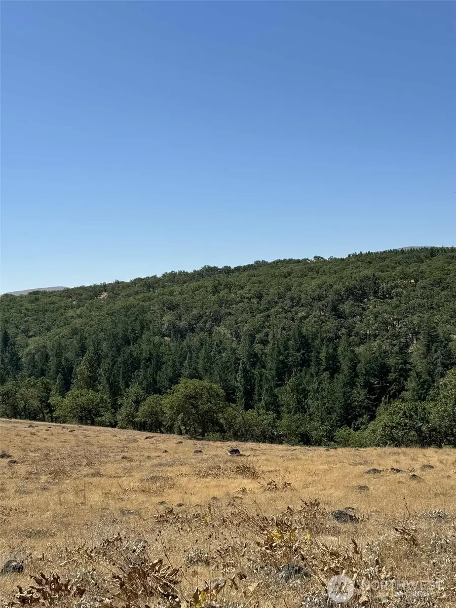 0 Parcel #03140400000200 #2, White Salmon, WA 98672 - Image #2