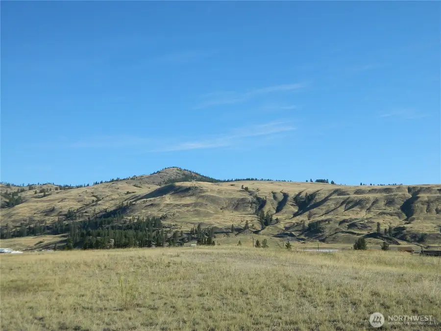 10 Sorona Way, Tonasket, WA 98855 - Image #3