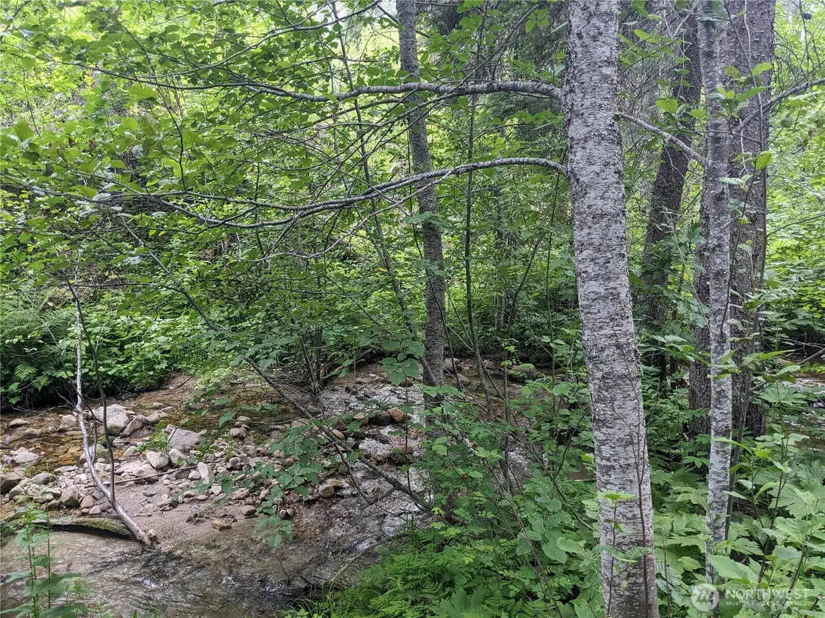 0 Bia Road, Nespelem, WA 99155 - Image #1