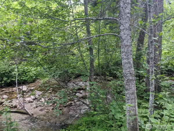 0 Bia Road, Nespelem, WA 99155