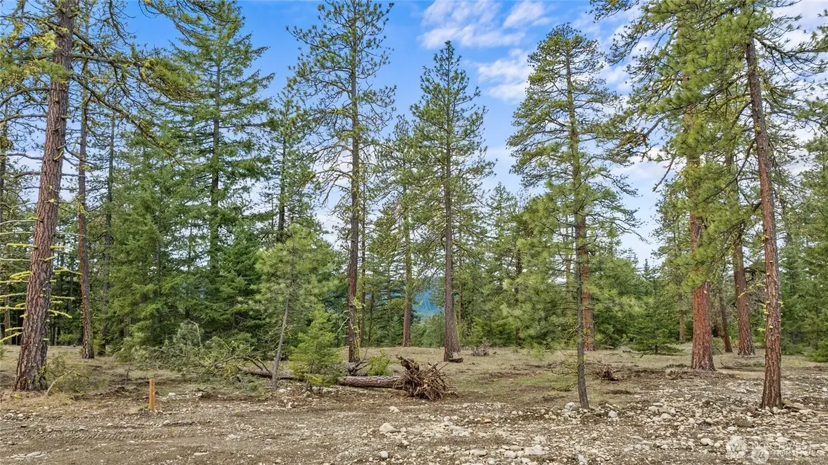 37 Wanawish Loop #37, Cle Elum, WA 98922 - Image #1