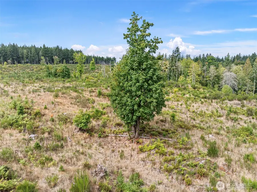 12753 144th Street Nw, Gig Harbor, WA 98329 - Image #3