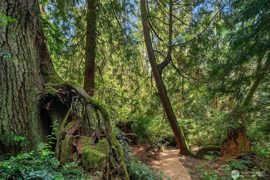 16114 121st Avenue Sw, Vashon, WA 98070 - Image #2