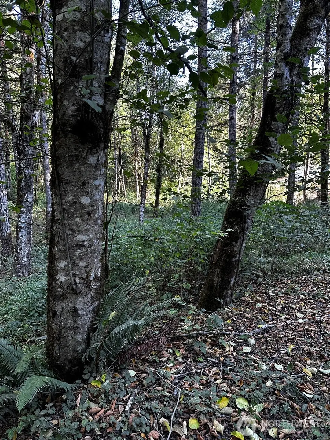 14413 109th Street Sw, Gig Harbor, WA 98329 - Image #1