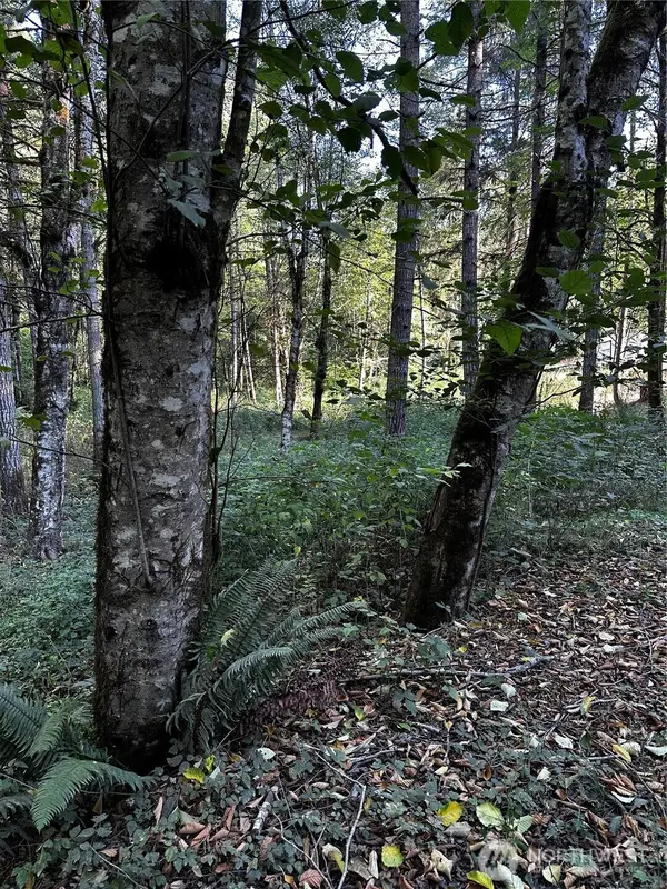 14413 109th Street Sw, Gig Harbor, WA 98329