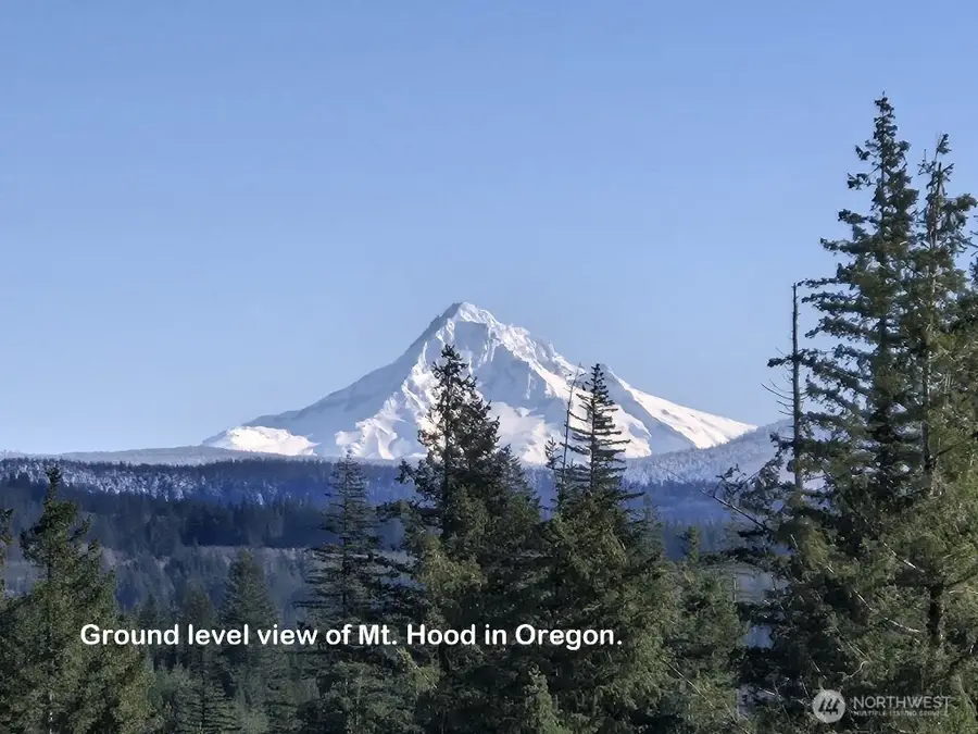 1051 Skamania Mines Road #2, Washougal, WA 98671 - Image #2