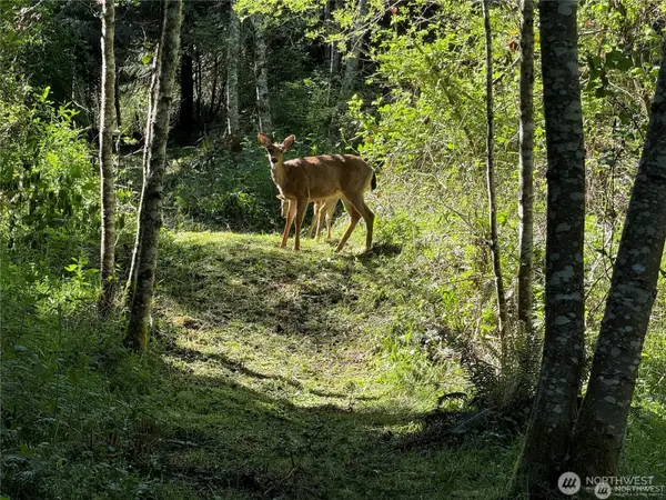 0 Highway 20, Port Townsend, WA 98368