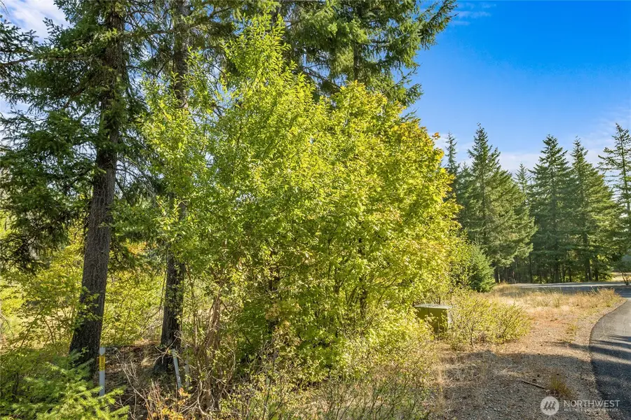 3241 Jenkins Drive #6, Cle Elum, WA 98922 - Image #3