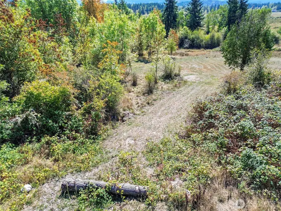 40325 Dean Kreger Road E, Eatonville, WA 98328 - Image #3
