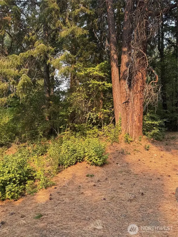 0 Little Chumstick Creek Rd, Leavenworth, WA 98826