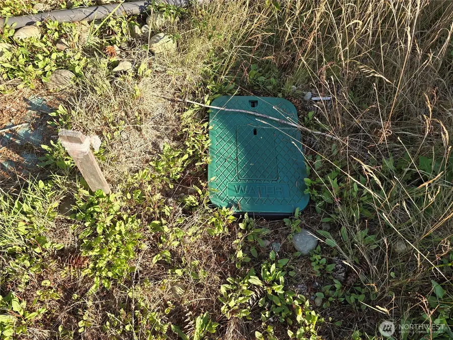 50 W Alder Place, Elma, WA 98541 - Image #2