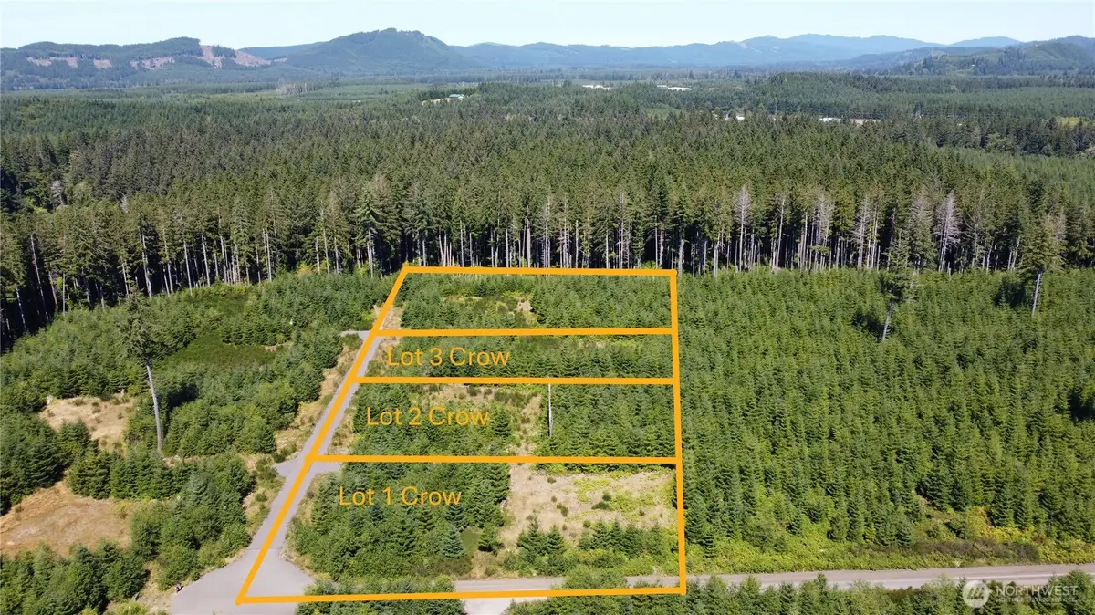 9999 King Johns-lot 2 Crow Sp Way #2, Forks, WA 98331 - Image #1