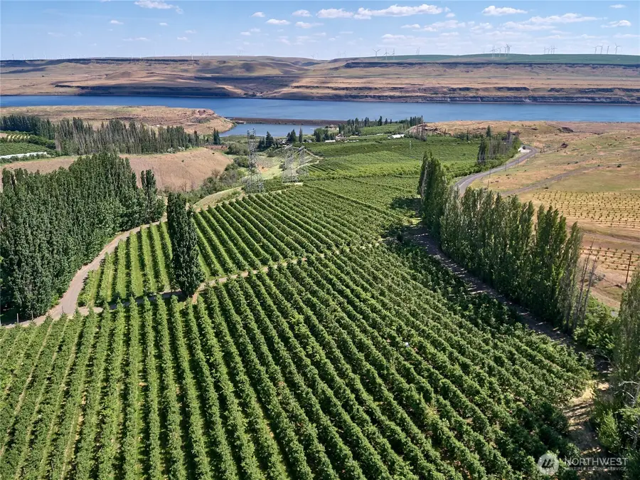 17 Sundale Drive, Roosevelt, WA 99356 - Image #2