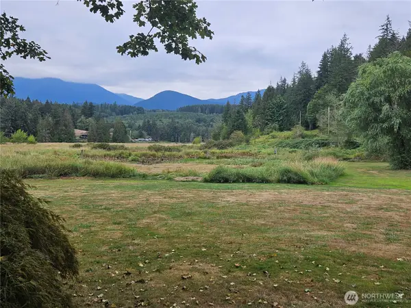 50 Lake Leland Cut-off Road, Quilcene, WA 98376