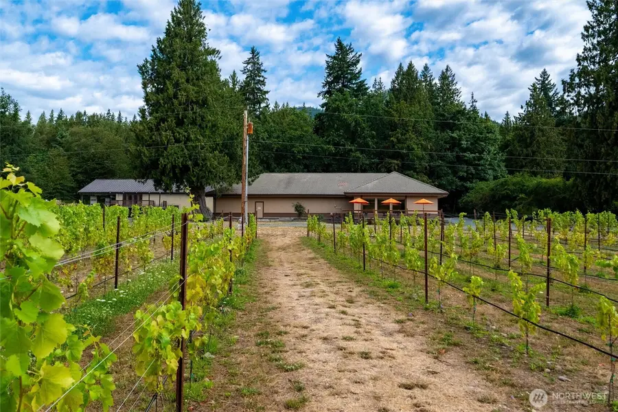 4290 Mt Baker Highway, Everson, WA 98247 - Image #3