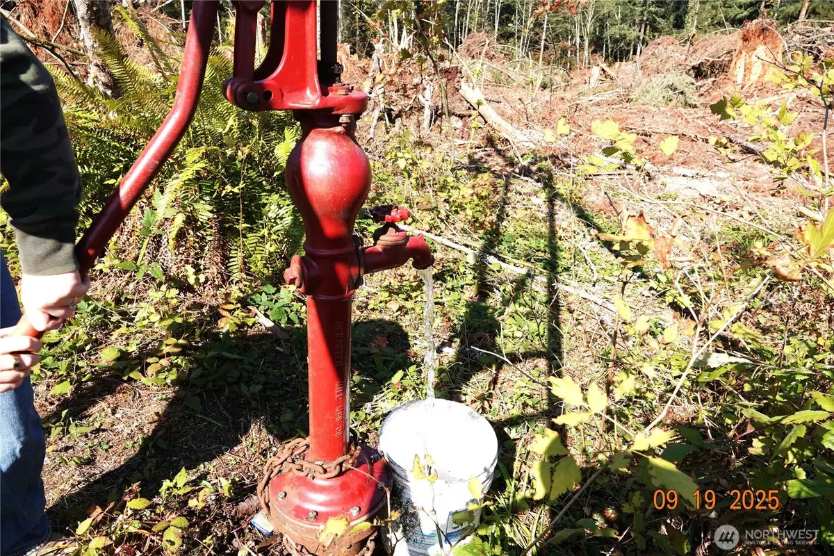 15829 456th Street E, Eatonville, WA 98328 - Image #1