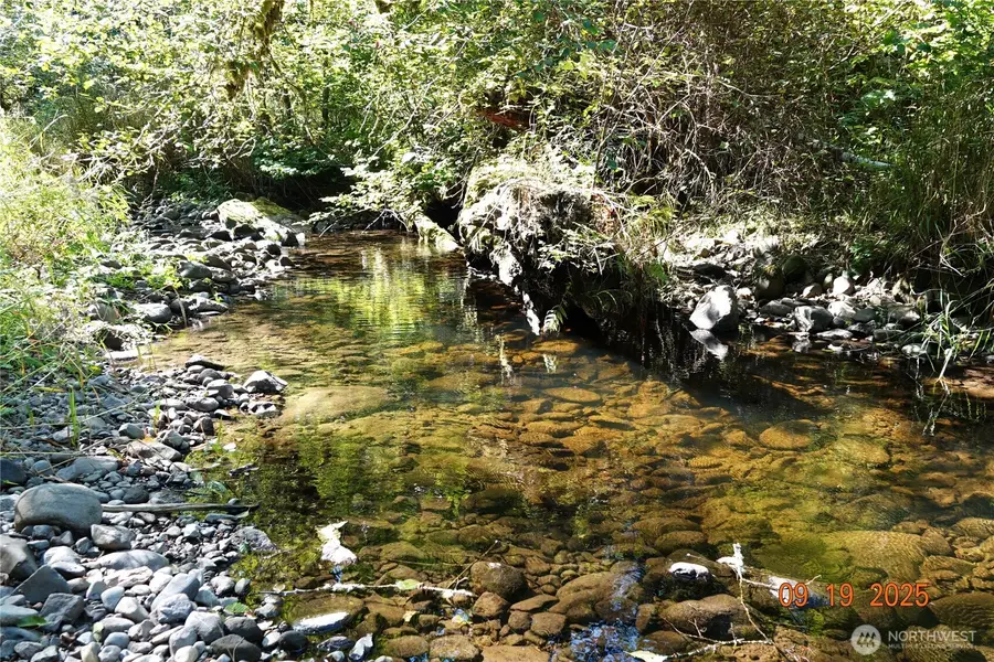 15829 456th Street E, Eatonville, WA 98328 - Image #2