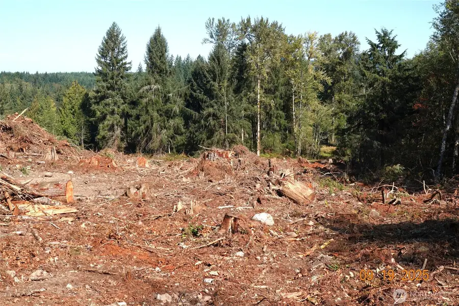 15829 456th Street E, Eatonville, WA 98328 - Image #3