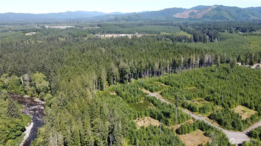 9999 King Johns-lot 2 Raven Sp Way #2, Forks, WA 98331 - Image #3