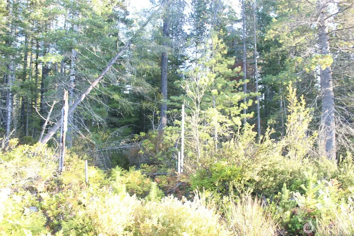 3511 NE Tahuya Blacksmith Rd, Tahuya, WA 98588 - Image #1