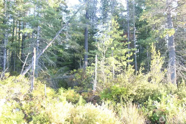 3511 NE Tahuya Blacksmith Rd, Tahuya, WA 98588