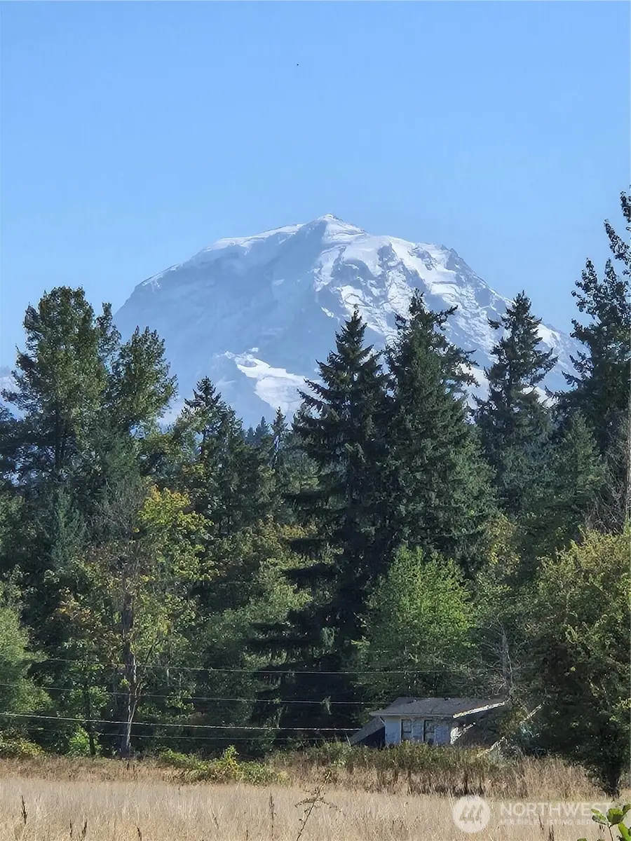 126 250th Avenue E #4, Buckley, WA 98321 - Image #3