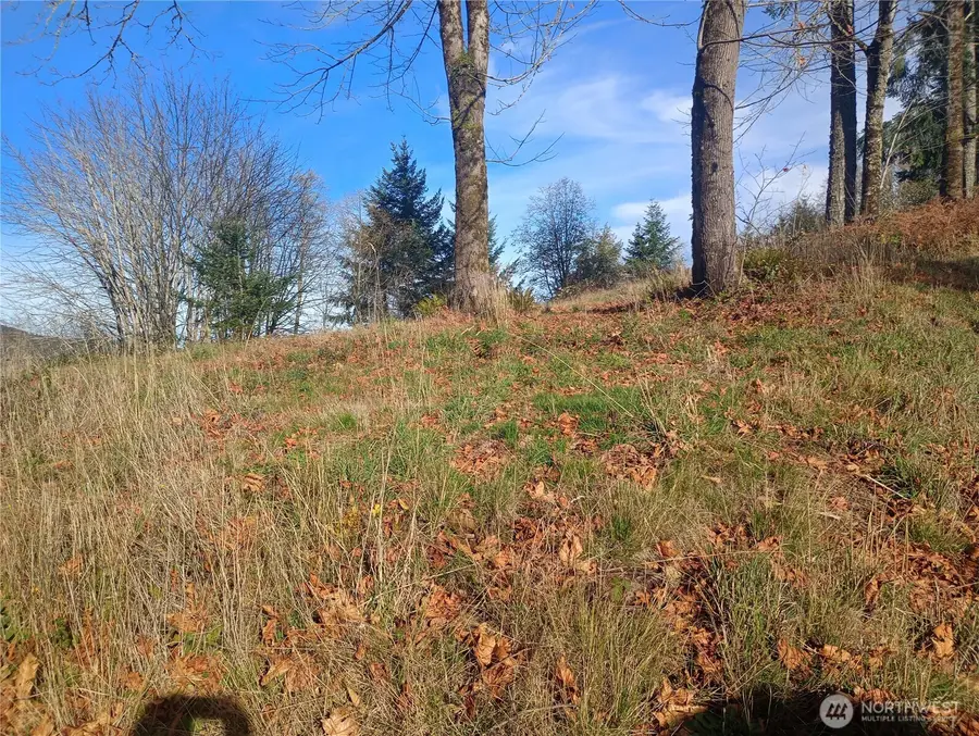 167 Wagner Road, Kelso, WA 98626 - Image #3