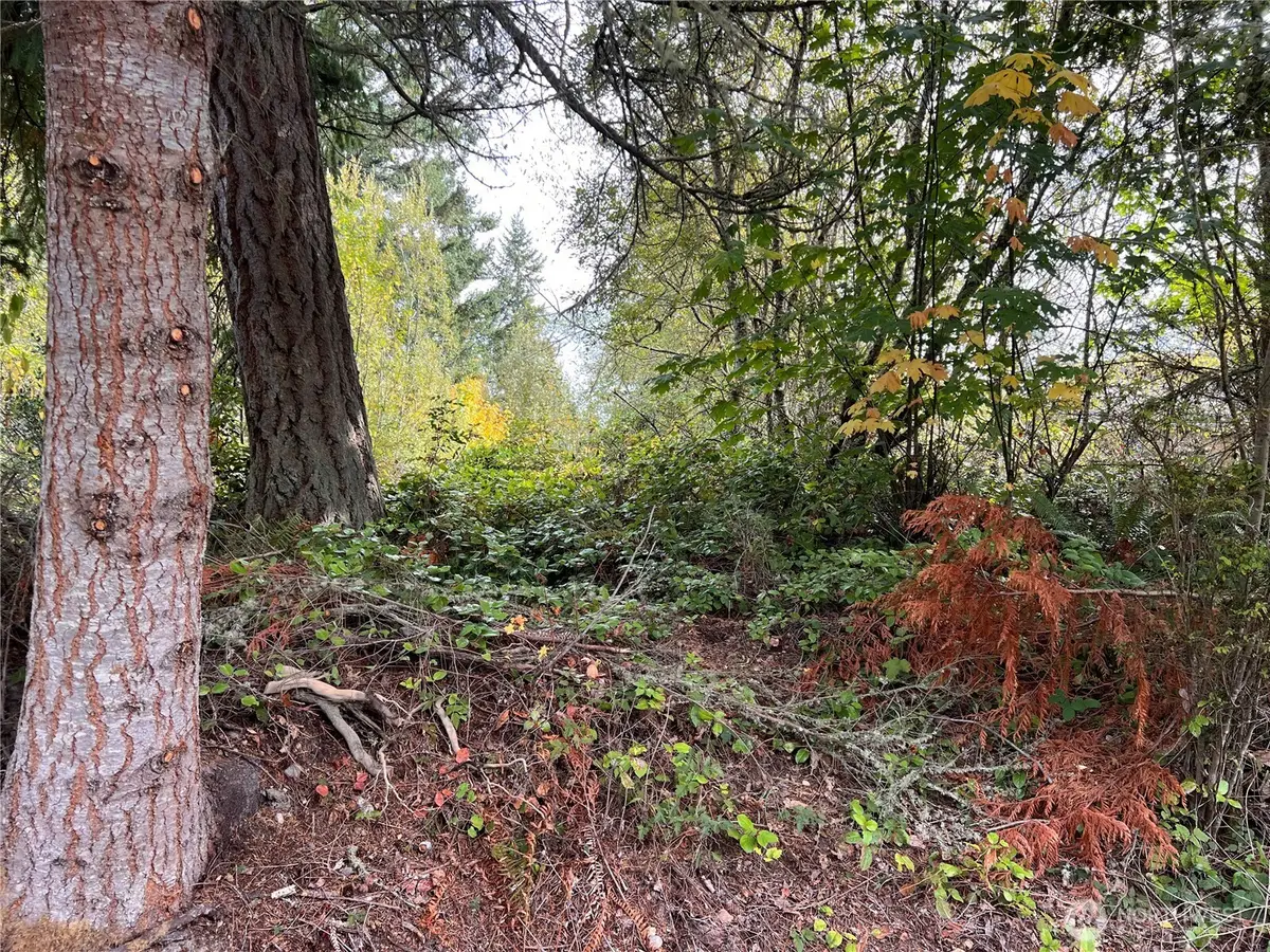 21 Camano Lane #47, Port Ludlow, WA 98365 - Image #1