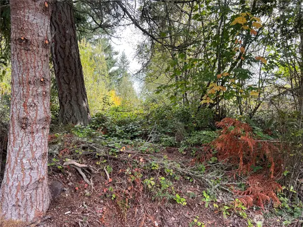 21 Camano Lane #47, Port Ludlow, WA 98365