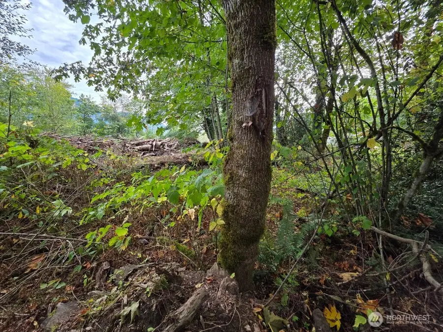 1206 Croft Avenue, Gold Bar, WA 98251 - Image #2