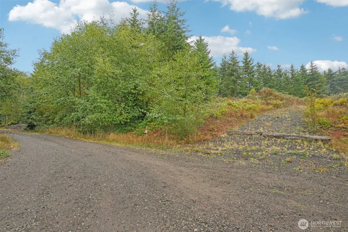 374 Bellwood Drive, Castle Rock, WA 98611 - #1