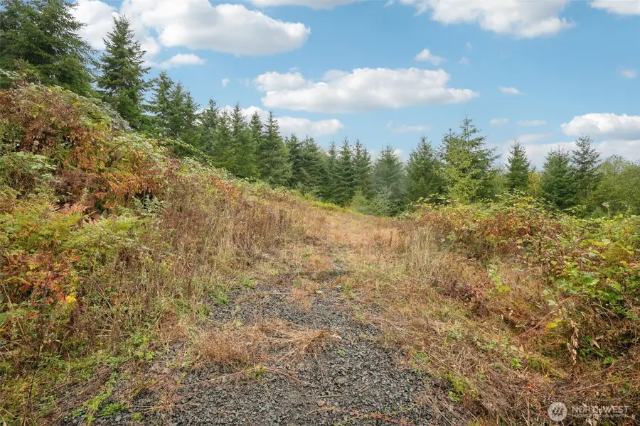 374 Bellwood Drive, Castle Rock, WA 98611 - #2