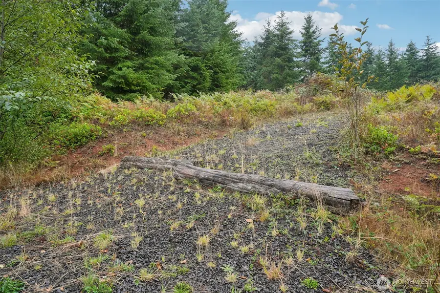 374 Bellwood Drive, Castle Rock, WA 98611 - #3