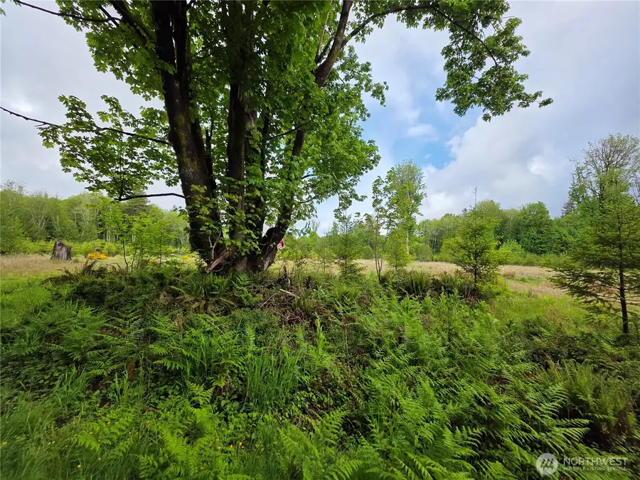 0 W Maple Rock Road #29, Matlock, WA 98560 - Image #3