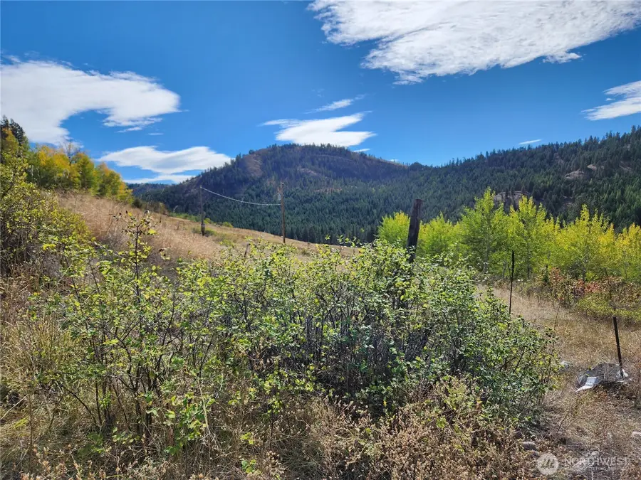 18 Robin Road #Lot 18, Republic, WA 99166 - Image #2