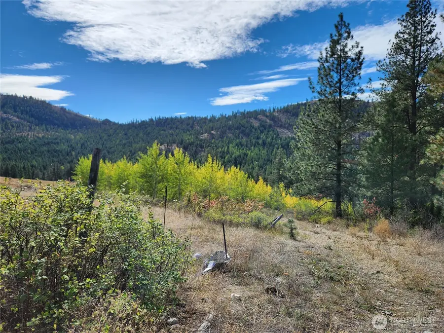 18 Robin Road #Lot 18, Republic, WA 99166 - Image #3