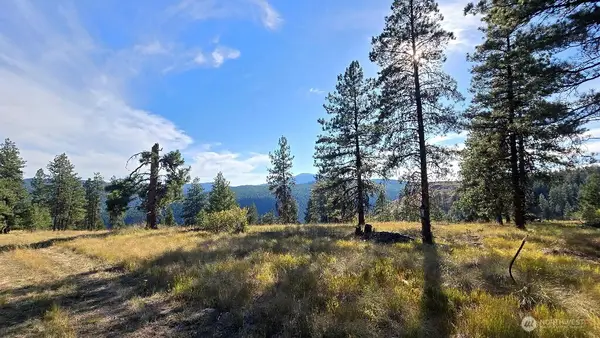 188 Rebel Road, Wauconda, WA 98859