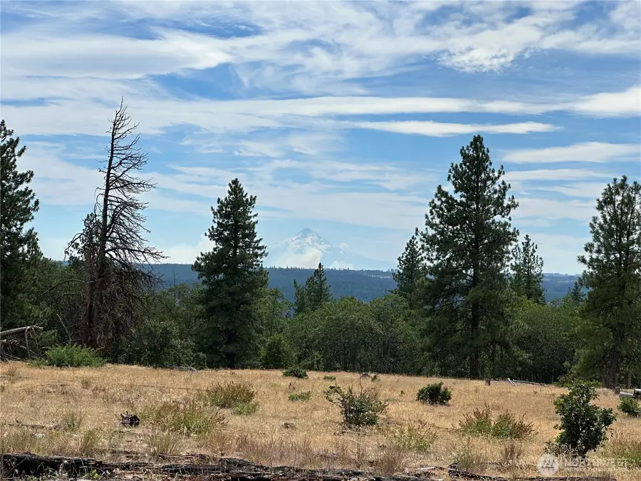 27 Greyback Mtn Road #27, Goldendale, WA 98620 - #2