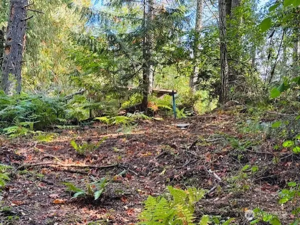 20 E Agate Road, Shelton, WA 98584