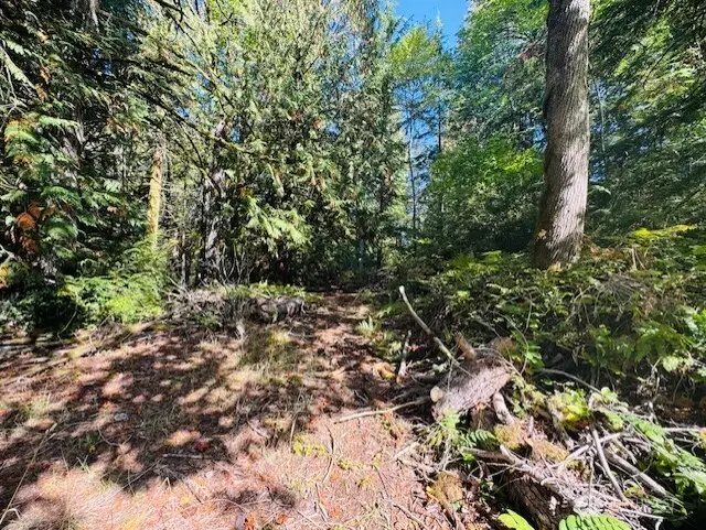 20 E Agate Road, Shelton, WA 98584 - Image #2