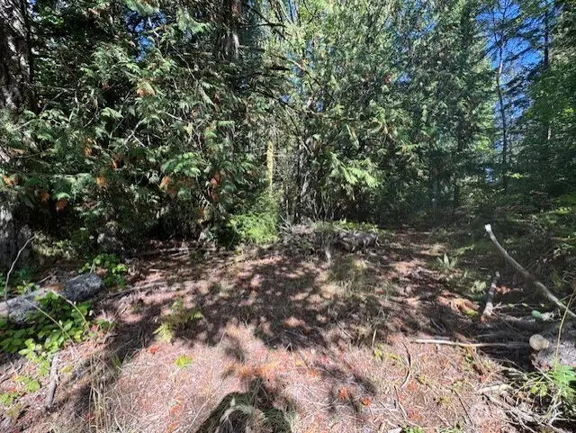 20 E Agate Road, Shelton, WA 98584 - Image #3