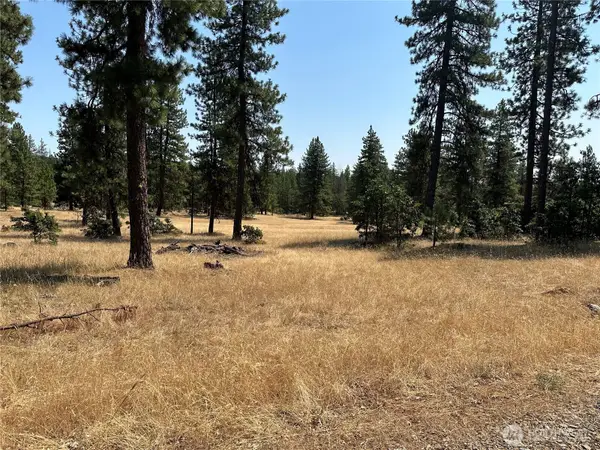 13 Greyback Mtn Road #Lot 13, Goldendale, WA 98620
