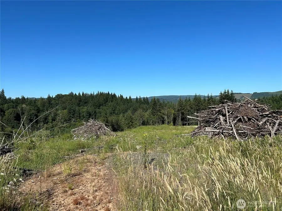 125 Talkeetna Heights Place, Kelso, WA 98626 - Image #3